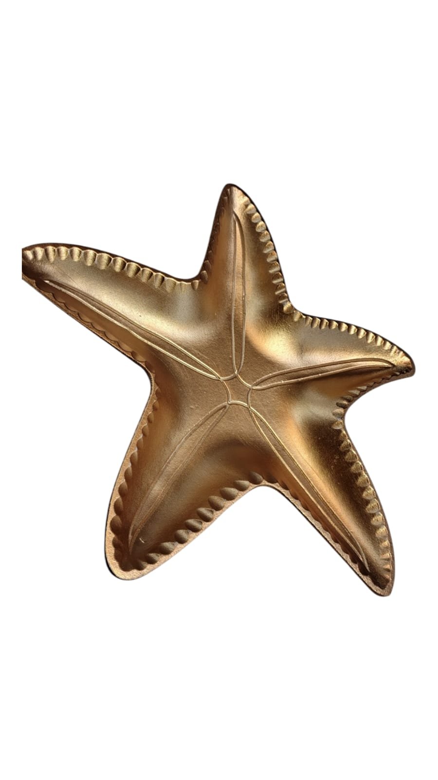 BANDEJA ESTRELLA DE MAR