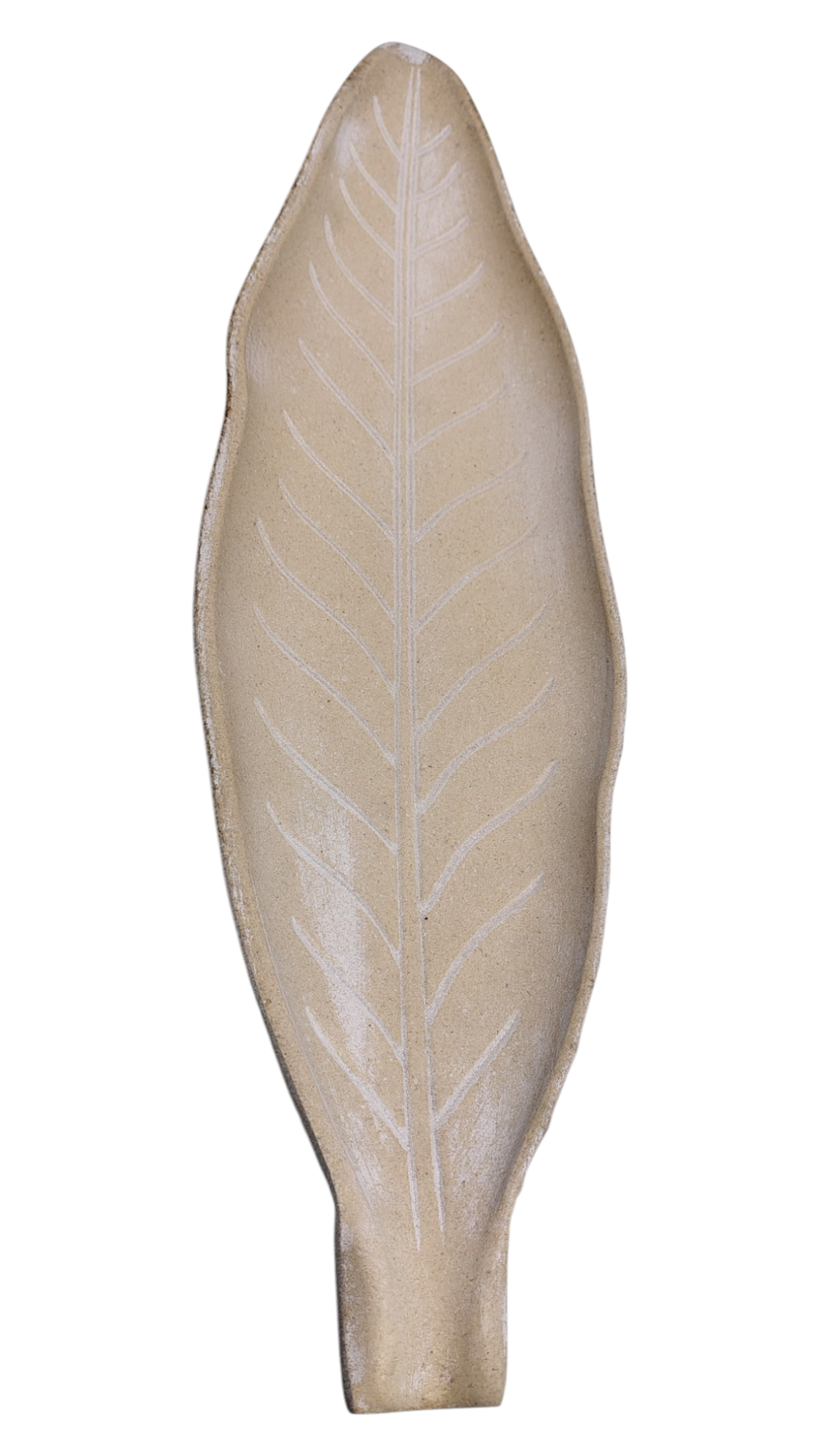 BANDEJA HOJA LARGA CHICA 40 X 11