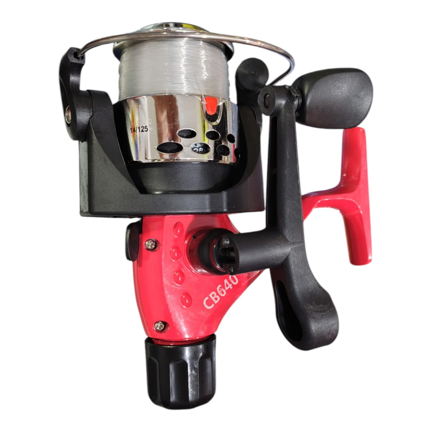 REEL GRANDE CAYMAN/GIRLS/PIONEER/GUARDIAN