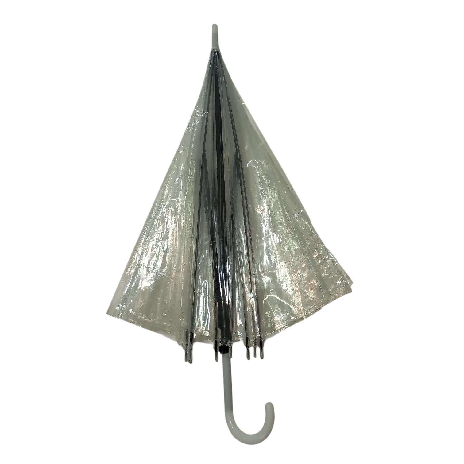 PARAGUA TRANSPARENTE